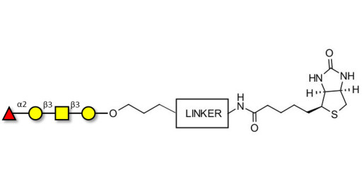 Blood group H antigen tetraose type 4 linked to biotin with cleavable linker (Linker-CLBT A)