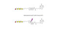 Blood group H antigen tetraose type 4 linked to biotin with cleavable linker (Linker-CLBT A)
