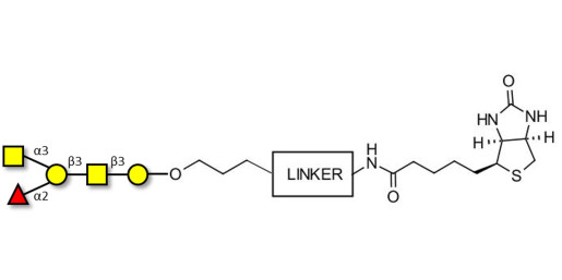 Blood group A antigen pentaose type 4 linked to biotin with cleavable linker (Linker-CLBT A) - Blood group A antigen pentaose type IV; Blood group A antigen pentasaccharide type IV; Blood group A antigen pentasaccharide type 4; A-pentasaccharide type 4