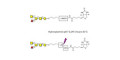 Blood group A antigen pentaose type 4 linked to biotin with cleavable linker (Linker-CLBT A) - Blood group A antigen pentaose type IV; Blood group A antigen pentasaccharide type IV; Blood group A antigen pentasaccharide type 4; A-pentasaccharide type 4