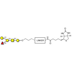Blood group B antigen pentaose type 4 linked to biotin with cleavable linker (Linker-CLBT A)