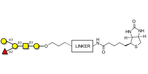 Blood group B antigen pentaose type 4 linked to biotin with cleavable linker (Linker-CLBT A)