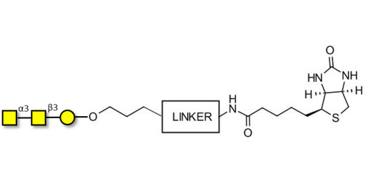 Forssman antigen triose linked to biotin with cleavable linker (Linker-CLBT A)