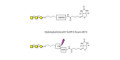 Forssman antigen triose linked to biotin with cleavable linker (Linker-CLBT A)