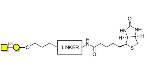 Gb4 Globoside terminal linked to biotin with cleavable linker (Linker-CLBT A) - GLY151-AP