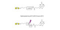 Gb4 Globoside terminal linked to biotin with cleavable linker (Linker-CLBT A) - GLY151-AP