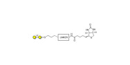 α1-4 galactobiose linked to...