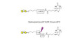 α1-4 galactobiose linked to biotin with cleavable linker (Linker-CLBT A)