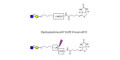 GlcNAcβ1-3Gal linked to biotin with cleavable linker (Linker-CLBT A)