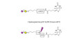 GM4 Ganglioside oligosaccharide linked to biotin with cleavable linker (Linker-CLBT A) - 3-Sialylgalactose