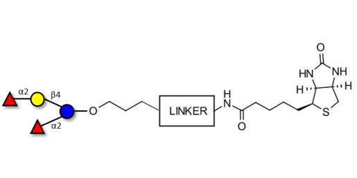 2',2-Difucosyllactose linked to biotin with cleavable linker (Linker-CLBT A) - 2',2-DFL