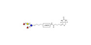 2',2-Difucosyllactose...