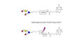 2',2-Difucosyllactose linked to biotin with cleavable linker (Linker-CLBT A) - 2',2-DFL