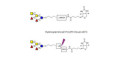 Fucosyl A antigen pentaose type 6 linked to biotin with cleavable linker (Linker-CLBT A)