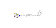 Fucosyl B antigen pentaose...