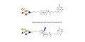Fucosyl B antigen pentaose type 6 linked to biotin with cleavable linker (Linker-CLBT A)