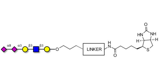 Disialylated pentaose type 1 linked to biotin with cleavable linker (Linker-CLBT A)