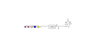 Disialylated pentaose type...