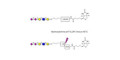 Disialylated pentaose type 1 linked to biotin with cleavable linker (Linker-CLBT A)