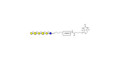 GalGalNAc-asialo GM1 Ganglioside oligosaccharide linked to biotin with cleavable linker (Linker-CLBT A) - GalGalNac-aGM1