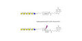 GalGalNAc-asialo GM1 Ganglioside oligosaccharide linked to biotin with cleavable linker (Linker-CLBT A) - GalGalNac-aGM1