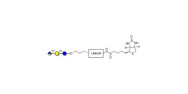 Glucuronyl-lactose linked...