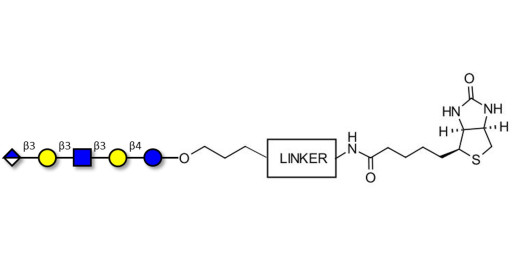 Glucuronyl-Lacto-N-tetraose linked to biotin with cleavable linker (Linker-CLBT A) - Glucuronyl-LNT