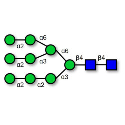 Man9 (>90% HPLC)