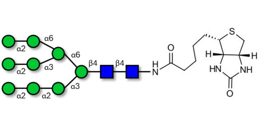 Man9 linked to biotin (Linker-BT F)