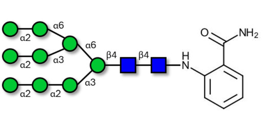 Man9 2AB-labeled 