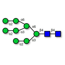 Man8D2D3 (>90% HPLC)
