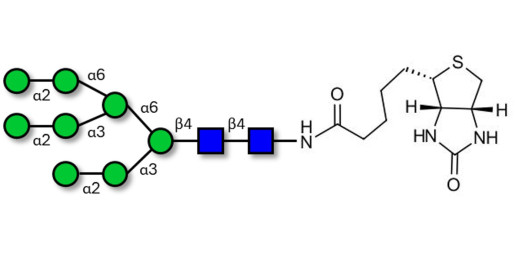 Man8D2D3 linked to biotin (Linker-BT F)