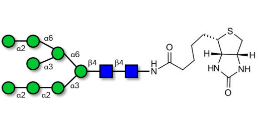 Man8D1D3 linked to biotin (Linker-BT F)