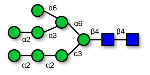 Man8D1D2 (>90% HPLC) - M8D1D2 ; 
M8 ; Oligomannose 8 glycan ;
Man-8 N-linked oligosaccharide ;
Man8(GlcNAc)2