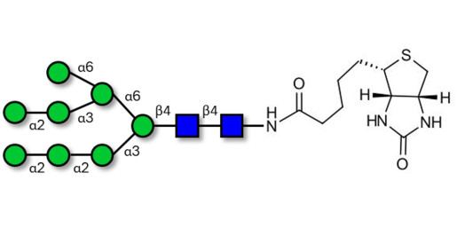 Man8D1D2 linked to biotin (Linker-BT F)