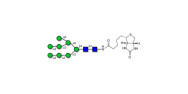 Man8D1D2 linked to biotin...