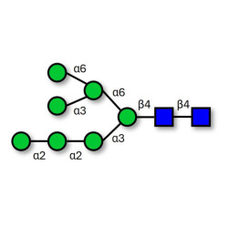 Man7D1 (>90% HPLC)