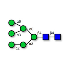 Man6 (>90% HPLC)