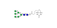 Man6 linked to biotin...