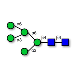 Man5 (>90% HPLC)