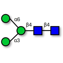 Man3 (>90% HPLC)