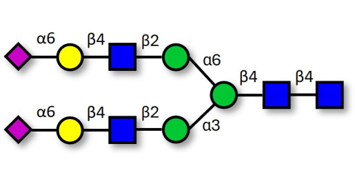 2,6-sialylated complex-type N-glycan (>90% HPLC) - A2G2S(6)2 ; G2S2 (α2,6) ; A2-N-Glycan ; Disialo (2,6), biantennary (A2) ; A2G2S2 N-glycan ; Di-sialylated, galactosylated, bi-antennary N-linked glycan