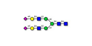 2,6-sialylated complex-type...