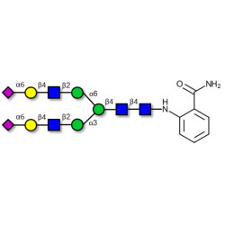 2,6-sialylated complex-type N-glycan 2AB-labeled 