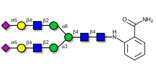 2,6-sialylated complex-type N-glycan 2AB-labeled  - A2G2S(6)2 ; G2S2 (α2,6) ; A2-N-Glycan ; Disialo (2,6), biantennary (A2) ; A2G2S2 N-glycan ; Di-sialylated, galactosylated, bi-antennary N-linked glycan