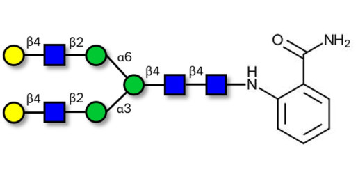 Asialo complex-type N-glycan 2AB-labeled  - A2G2 ; G2 ; NA2 N-Glycan ; Asialo, galactosylated, biantennary
