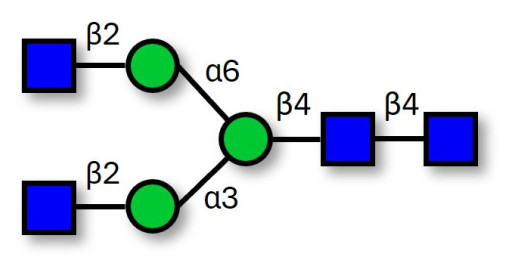 Asialo, agalacto complex-type N-glycan (>90% HPLC) - A2G0 ; Asialo, agalacto complex-type glycan ; NGA2 N-Glycan