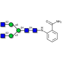 Asialo, agalacto complex-type N-glycan 2AB-labeled 