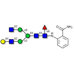 Asialo, monogalactosylated, fucosylated complex-type N-glycan 2AB-labeled 