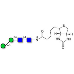 Man2b linked to biotin (Linker-BT F)